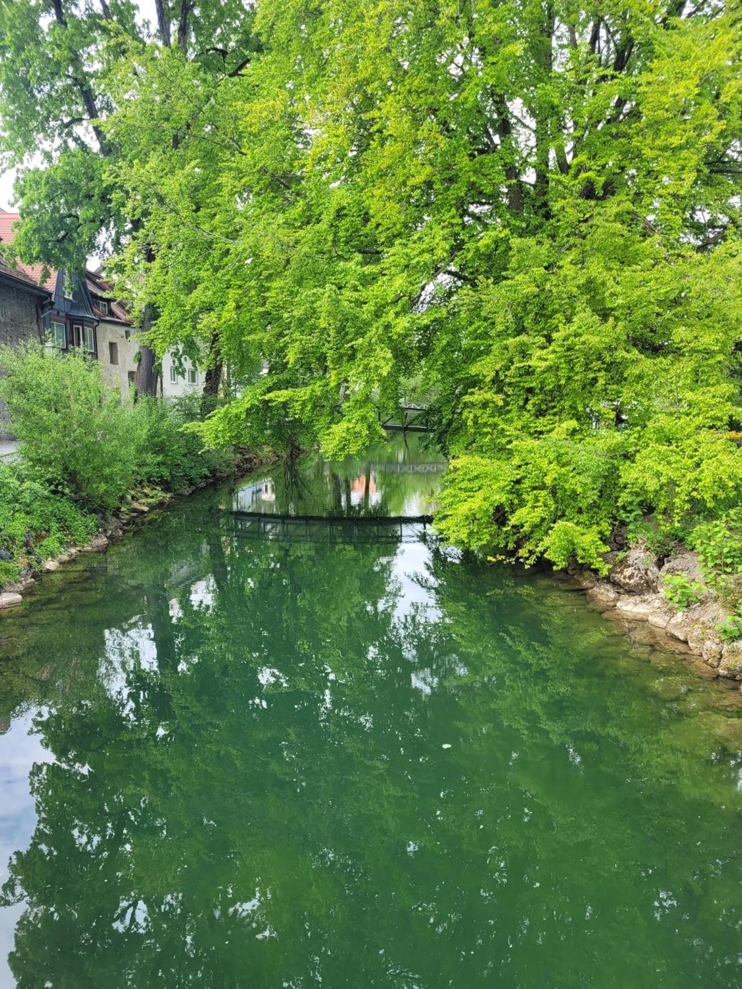 Allgaeublick Wangen im Allgäu Exterior foto